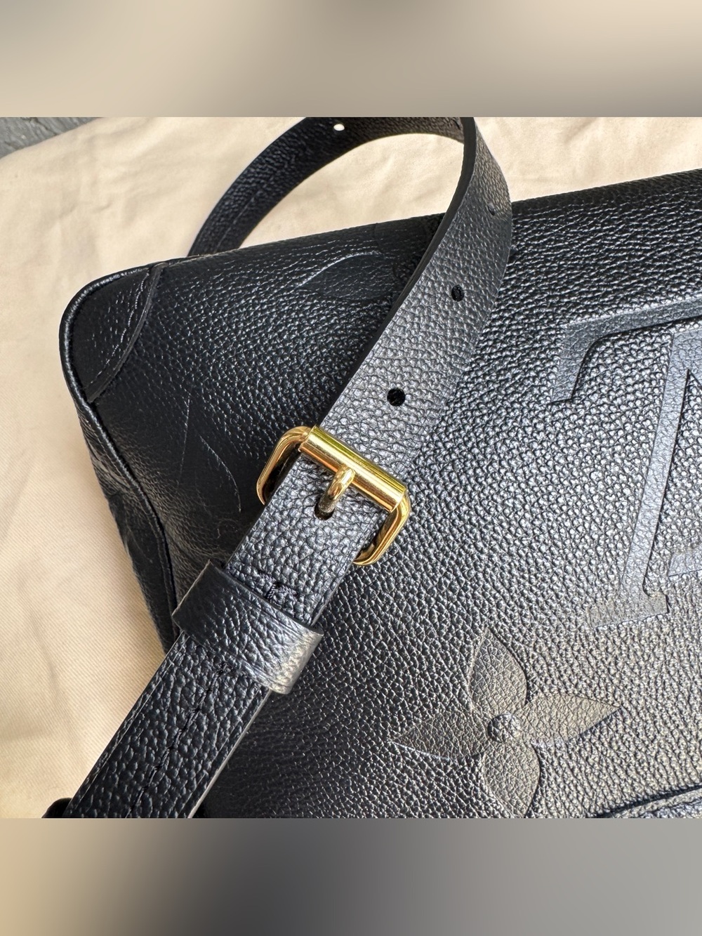 Louis Vuitton Empreinte Trianon PM - Picture 10 of 16